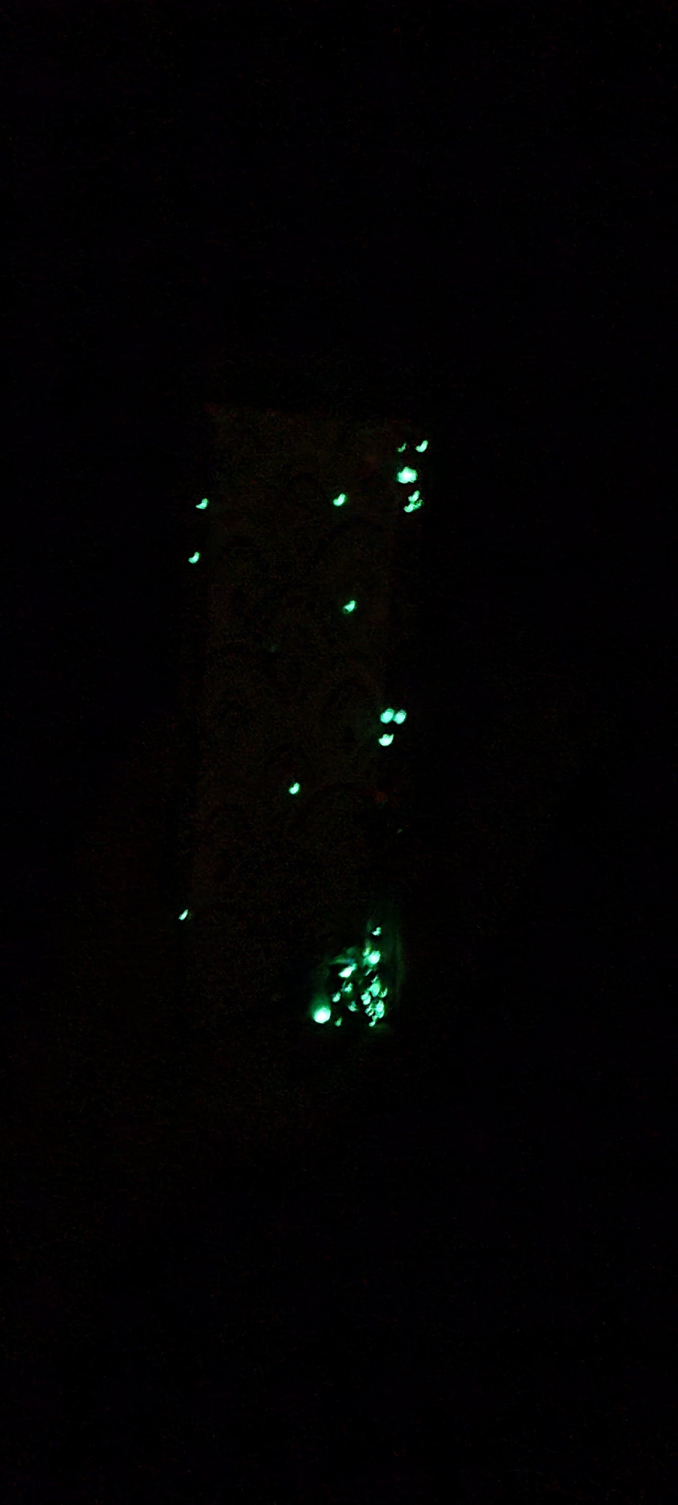 Sea Shell Print Mermaid Sea Theme Glow In The Dark Glitter & Sequin Shaker Bookmark Book Lovers Stocking Stuffer Gifts Kids